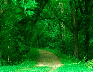 DSC_0013.JPG