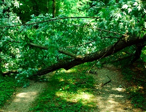DSC_0025.JPG