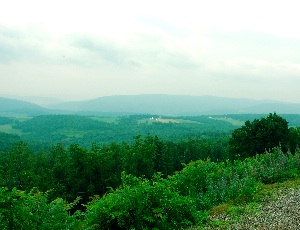 ata view