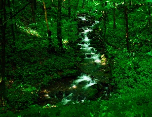 stream
