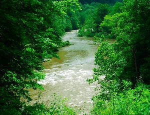 allegheny trail